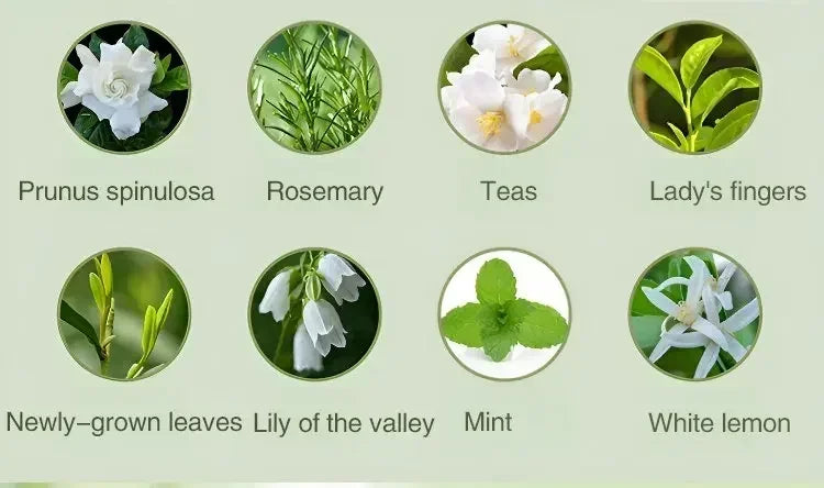 Diffuser Aromatherapy Machine with Display,Wireless Wall Hanging Portable Automatic Fragrance Spray Bathroom DeodorizationPurify