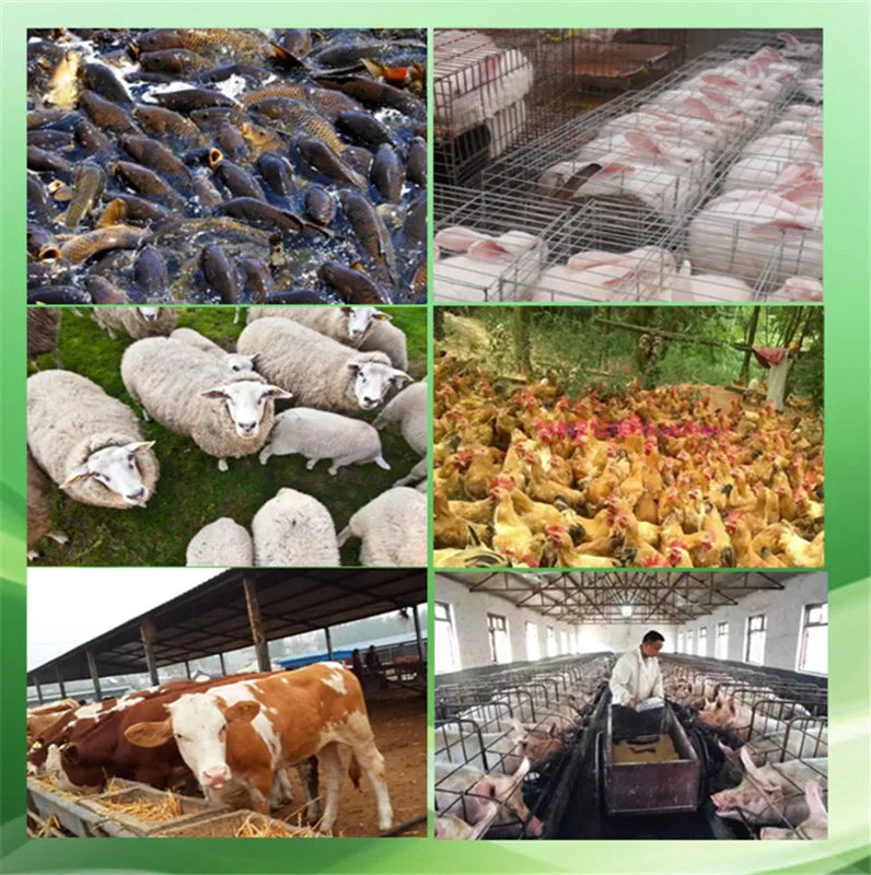 Electric Rotary Animal Feed Granulator Pellet Mill Feed Food Pellet Making Machine for Grain Straw Fish Chicken Pig Poultry