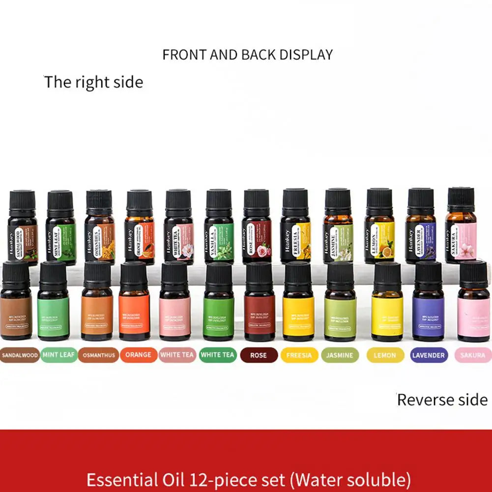 Aromatherapy Essential Oil Set Diffuser Essential Oil Car Air Freshener Scent Perfume Natural Plant Lavender Aroma Diffuser DIY