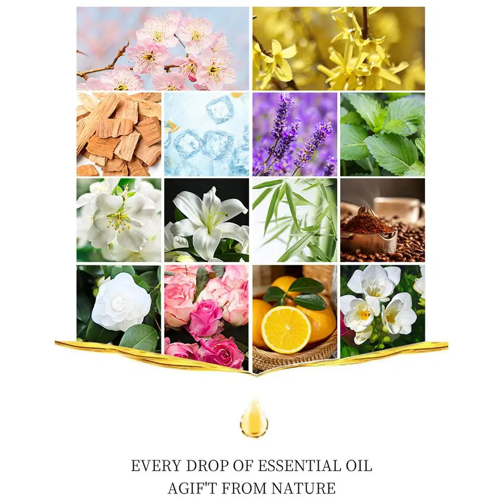 Aromatherapy Essential Oil Set Diffuser Essential Oil Car Air Freshener Scent Perfume Natural Plant Lavender Aroma Diffuser DIY