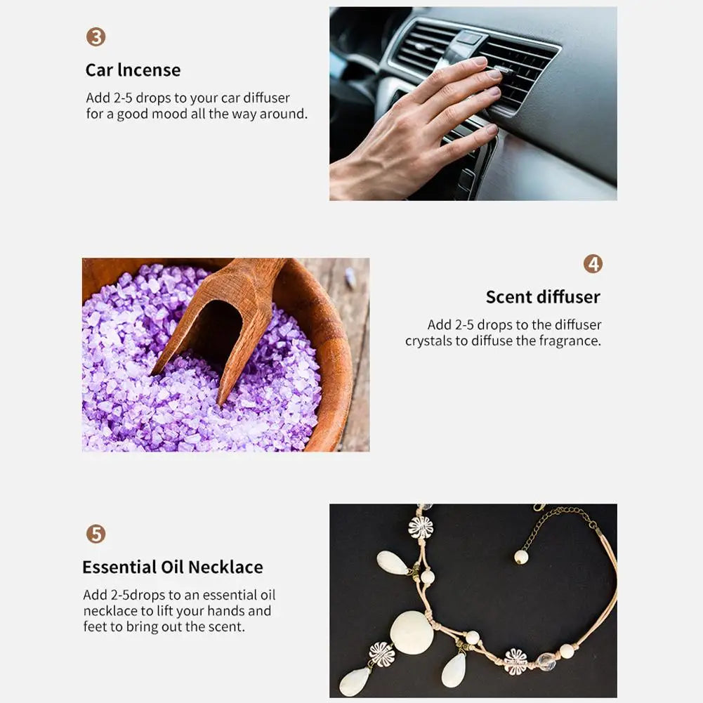 Aromatherapy Essential Oil Set Diffuser Essential Oil Car Air Freshener Scent Perfume Natural Plant Lavender Aroma Diffuser DIY