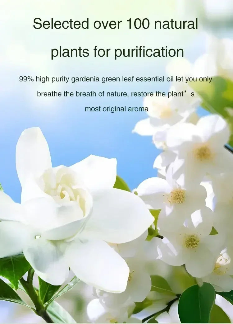 Diffuser Aromatherapy Machine with Display,Wireless Wall Hanging Portable Automatic Fragrance Spray Bathroom DeodorizationPurify